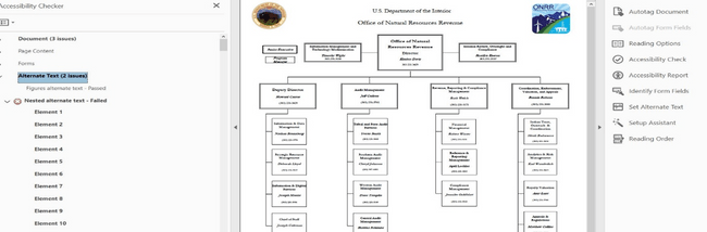 Screenshot of PDF file showing the organization chart and the accessibility errors generated. Shows 3 document issues, 2 alternate text issues, and an uncounted number of alternate text issues (10 are visible in the screenshot).