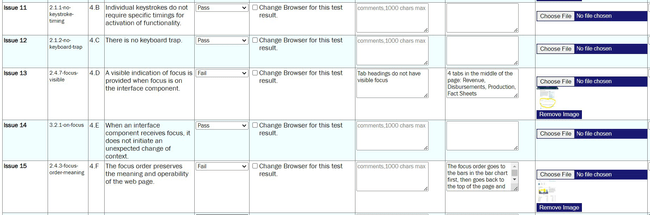 Snapshot of the online form that includes issues 11 through 15. Each issue listed includes the test name, ID, condition, option to choose pass or fail, text boxes for adding notes and the location of the failure, and option to upload screenshot or other files for each issue.